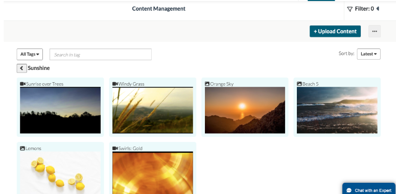 To Access Content Management — screenshot 8
