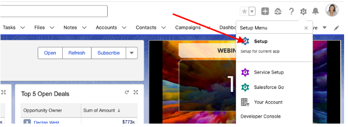 How to add the permission at the user level using Permission Sets — screenshot 1