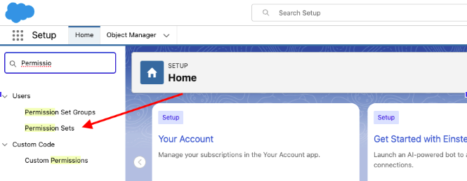 How to add the permission at the user level using Permission Sets — screenshot 2