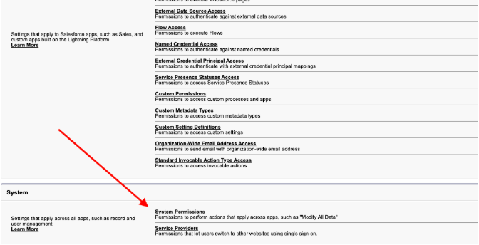 How to add the permission at the user level using Permission Sets — screenshot 5