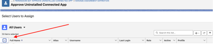 How to add the permission at the user level using Permission Sets — screenshot 11