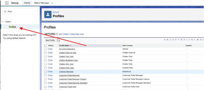 How to apply the Permission at the Profile Level — screenshot 12